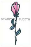 I-75 Lg. Bold Rose
